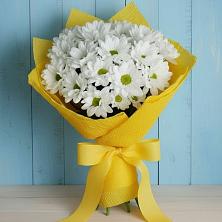 Букет цветов из:  Хризантемы в Бабяково