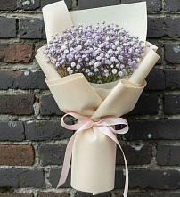 Букет цветов из:  Гипсофила #REPLACE_PRED# Бабяково