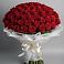 Букет 101 Красная роза Блэк Мэджик в Бабяково