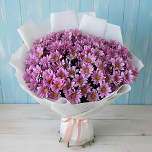 Букет цветов из:  Хризантемы в Бабяково