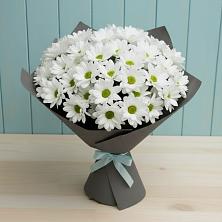 Букет цветов из:  Хризантемы в Бабяково