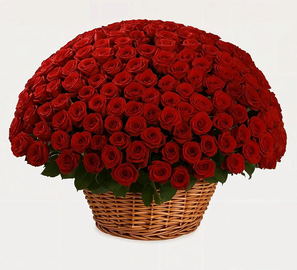 Премиум букет из: Розы в Бабяково