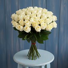 Букет 51 Белая роза Эдлесс Лав #REPLACE_PRED# Бабяково