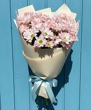 Букет цветов из:  Хризантемы в Бабяково