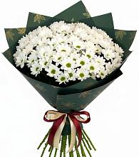 Букет цветов из:  Хризантемы в Бабяково