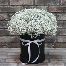 Цветочная композиция из Гипсофила в шляпной коробке в Бабяково