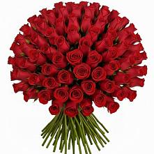 Букет Красные розы Чери Лав #REPLACE_PRED# Бабяково